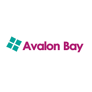 Avalon Bay Digital & Analog Air Fryers & Accessories Reviews